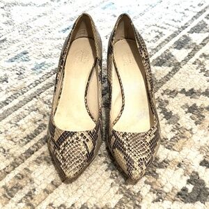 Snakeskin Print C. Wonder Heels